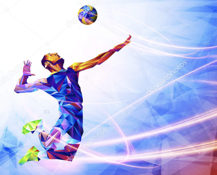 SECTION VOLLEY_BALL