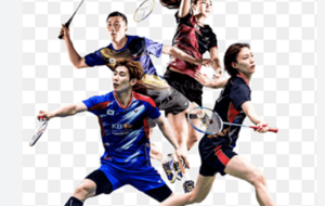 Date limite des inscriptions des joueurs(ses) titulaires en championnat départemental mixte (Badminton)