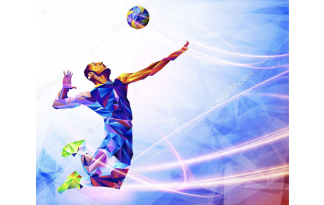 SECTION VOLLEY_BALL